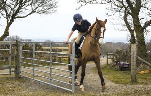 Train horse out hacking: Opening a gate