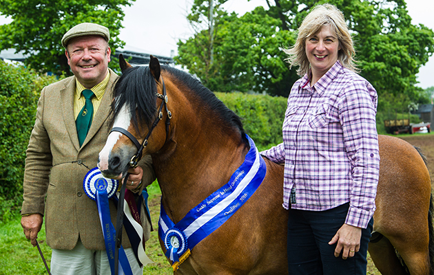 672 Ysselvliedts Highwood with Tony & Nicki McGuire - Champion Welsh Section A and Cuddy Champion