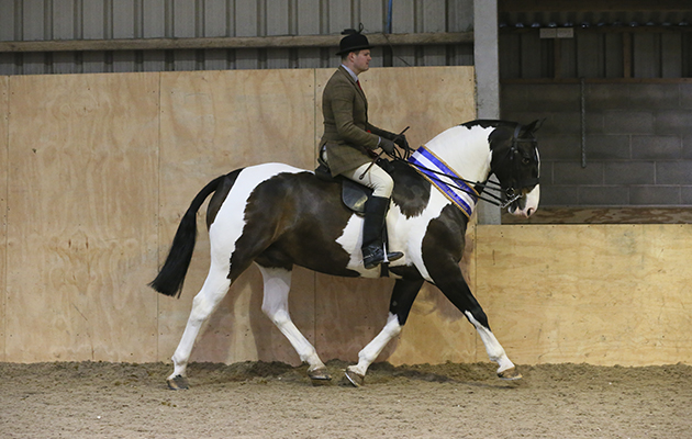 SUPREME CHAMPION RESERVE 443 MAKERS JAR OF HEARTS WAYNE THORNEYCROFT