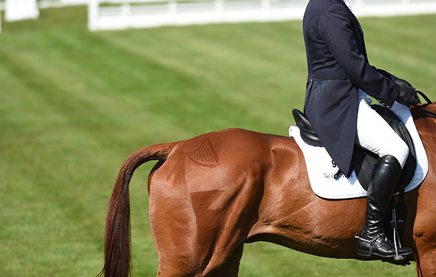 The Mitsubishi Motors Badminton Horse Trials on 05 05 2016