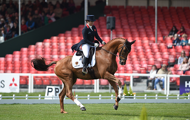 The Mitsubishi Motors Badminton Horse Trials on 06 05 2016