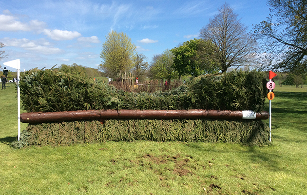 BADMINTON GRASSROOTS COURSE WALK 2016 image_00017