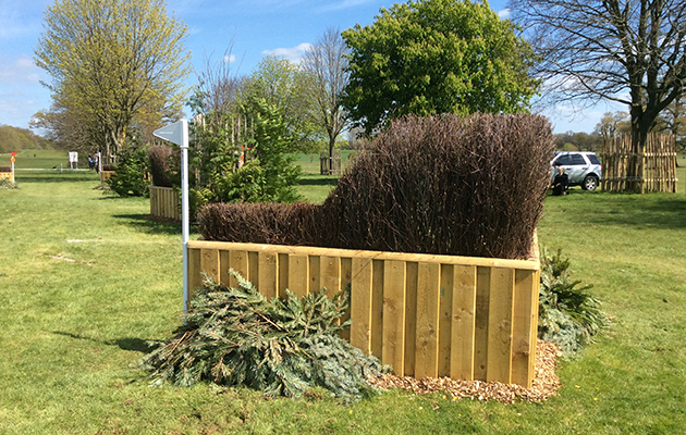 BADMINTON GRASSROOTS COURSE WALK 2016 image_00019