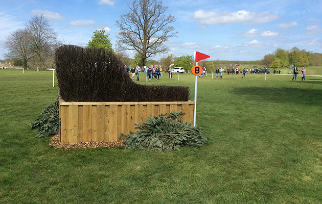 BADMINTON GRASSROOTS COURSE WALK 2016 image_00023