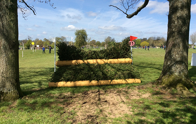 BADMINTON GRASSROOTS COURSE WALK 2016 image_00027