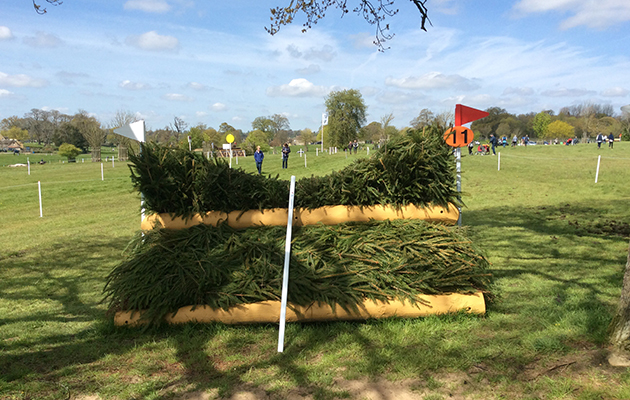 BADMINTON GRASSROOTS COURSE WALK 2016 image_00028