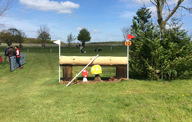 BADMINTON GRASSROOTS COURSE WALK 2016 image_00029