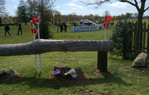 BADMINTON GRASSROOTS COURSE WALK 2016 image_00031