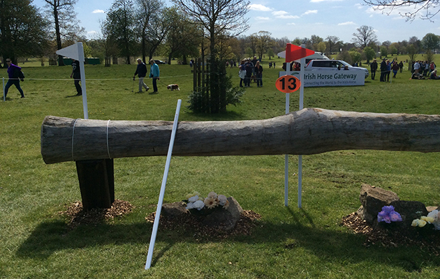 BADMINTON GRASSROOTS COURSE WALK 2016 image_00032