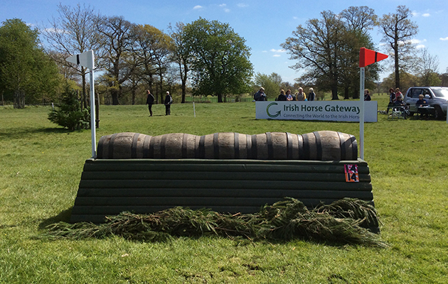 BADMINTON GRASSROOTS COURSE WALK 2016 image_00035