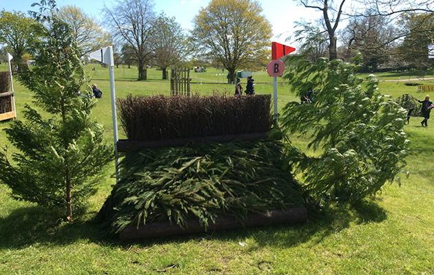 BADMINTON GRASSROOTS COURSE WALK 2016 image_00042