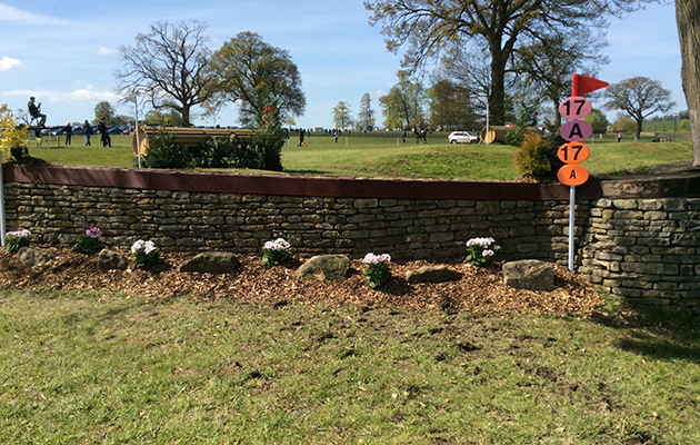 BADMINTON GRASSROOTS COURSE WALK 2016 image_00043