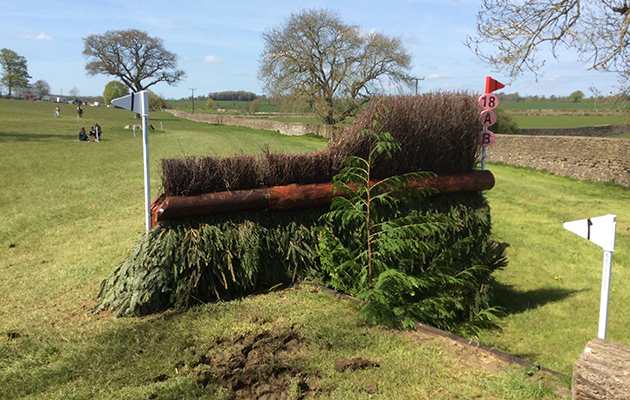 BADMINTON GRASSROOTS COURSE WALK 2016 image_00046