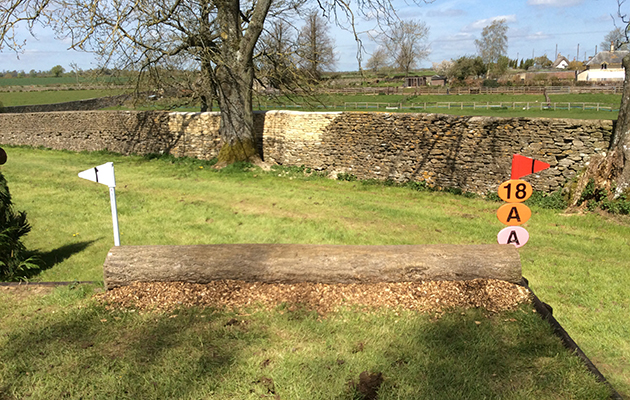 BADMINTON GRASSROOTS COURSE WALK 2016 image_00047