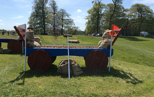 BADMINTON GRASSROOTS COURSE WALK 2016 image_00050