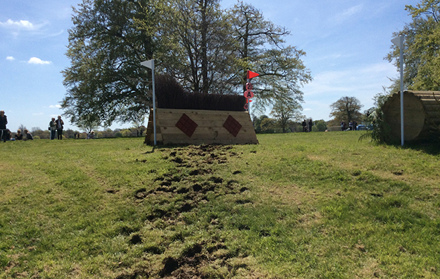 BADMINTON GRASSROOTS COURSE WALK 2016 image_00054