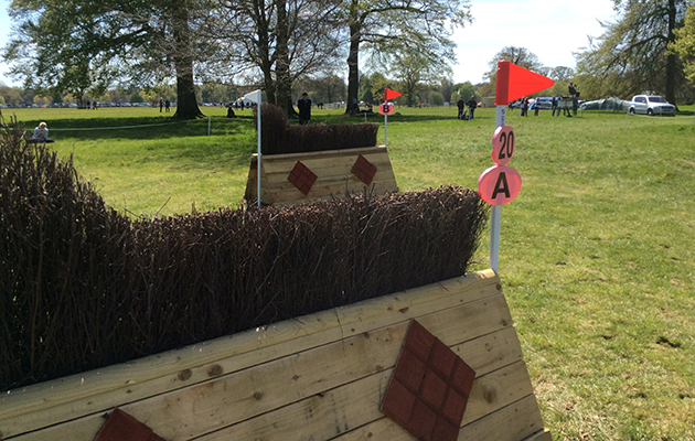 BADMINTON GRASSROOTS COURSE WALK 2016 image_00055