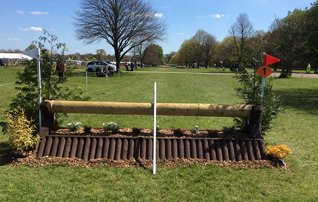 BADMINTON GRASSROOTS COURSE WALK 2016 image_00059