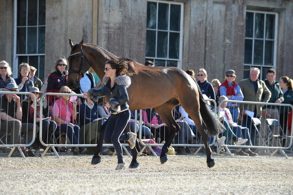 Dee Kennedy Chequers Playboy Badminton 2016