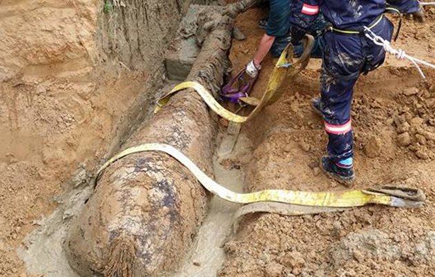 Ditch horse rescue nz2