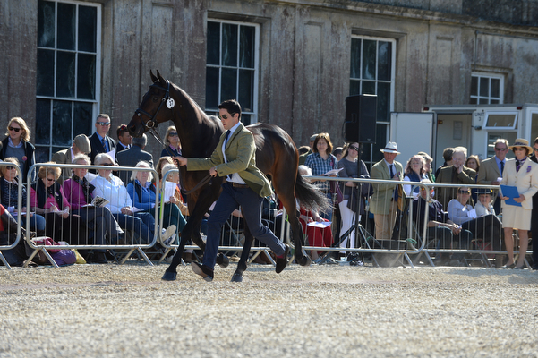 Ben Way Galley Light Badminton 2016