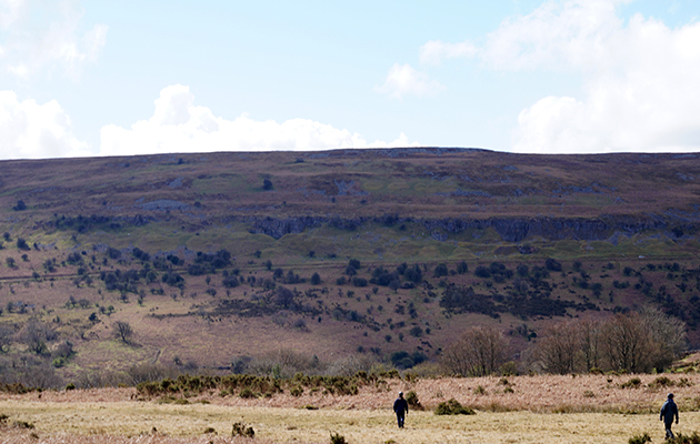 Llangynidr Common 1