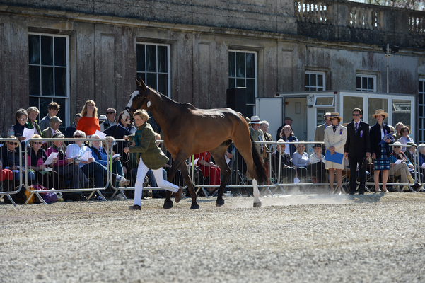 Louise Harwood Mr Potts Badminton 2016