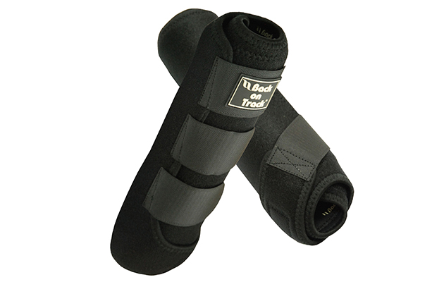 NTM 2016 back on track