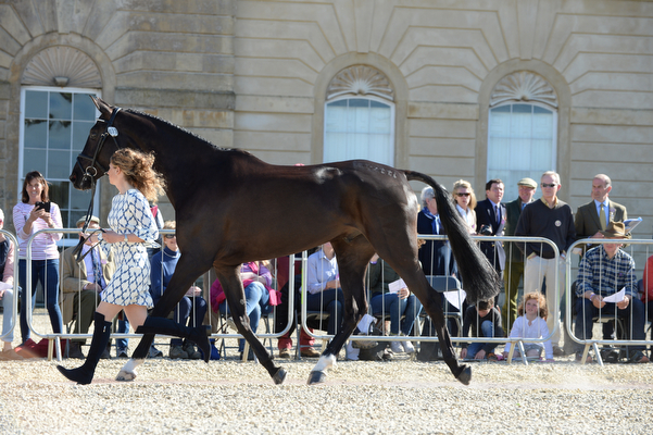 Kirsty Johnston Opposition Detective Badminton 2016