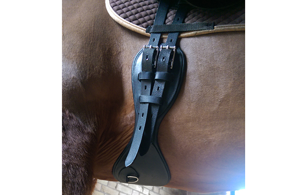 PDS GIRTH IMAG0017