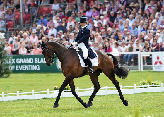 Dani Evans riding Raphael II GBR during the Dressage phase of The Mitsubishi Motors Badminton Horse Trials at Badminton in Gloucestershire, UK on 6th May 2016