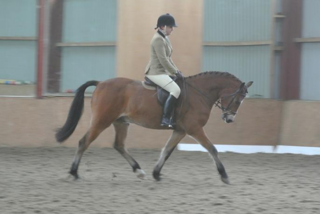 Screen Shot 2016-05-09 at 17.58.04