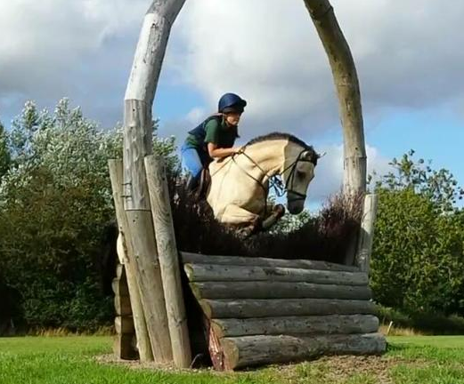 Screen Shot 2016-05-25 at 16.17.55