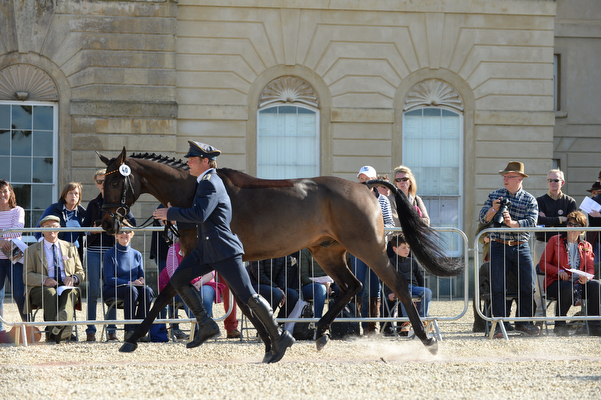 Andreas Ostholt So Is Et Badminton 2016