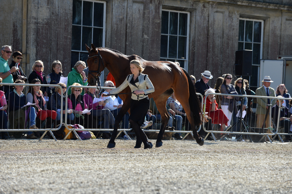 Megan Heath St Daniel Badminton 2016