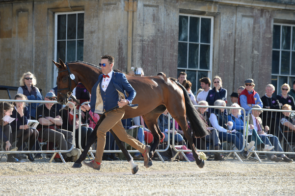 Paul Tapner Vanir Kamira Badminton 2016