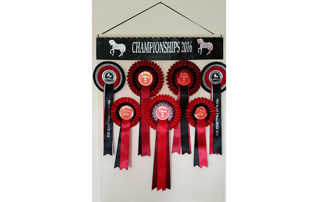 X BEST ROSETTE HOLDERS display your rosettes386680588