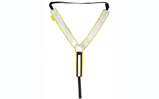 harry hall martingale