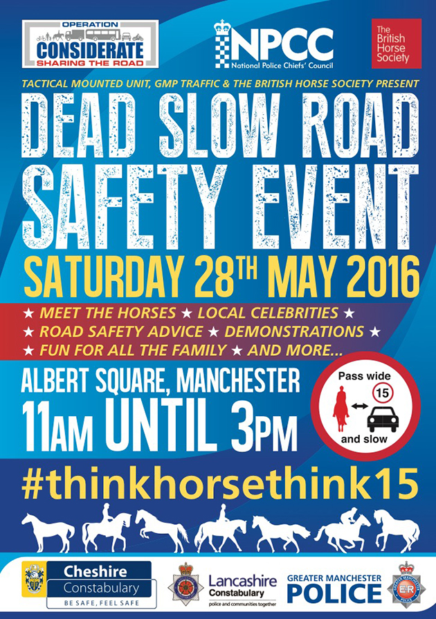 roadsafetylaunch