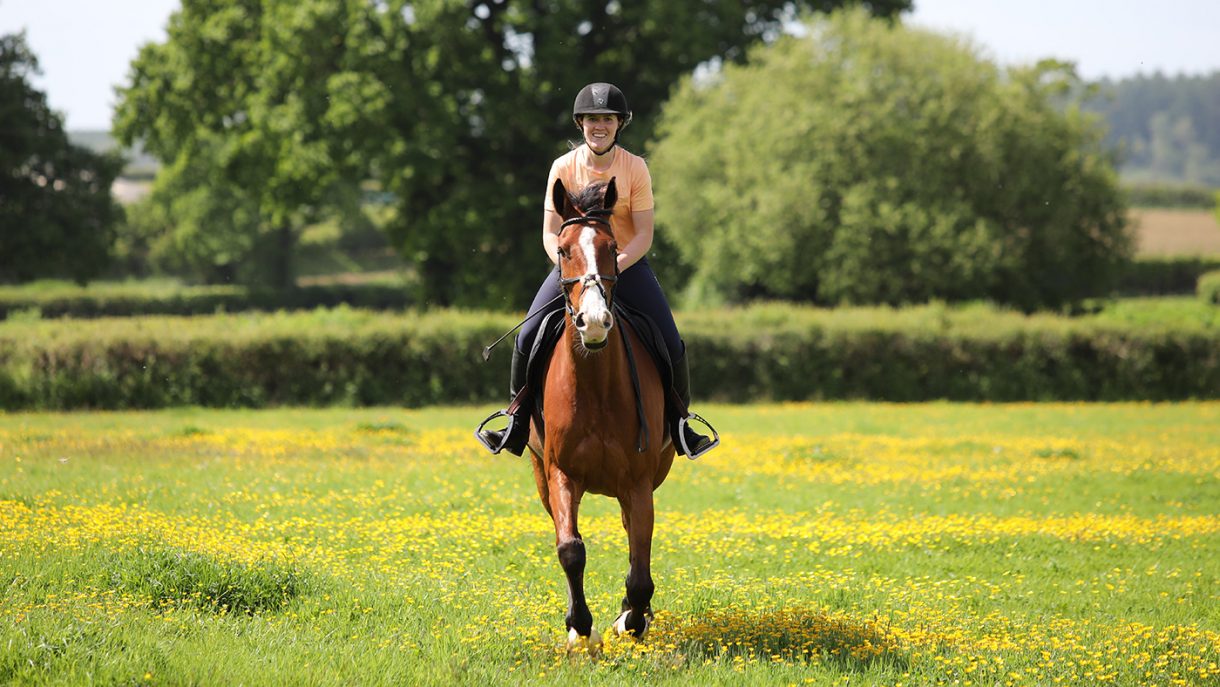 Horse riding tips for beginners who want to feel like a pro Horse & Hound