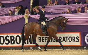 Jayne Ross riding Broadshard Simplicity at HOYS 2015