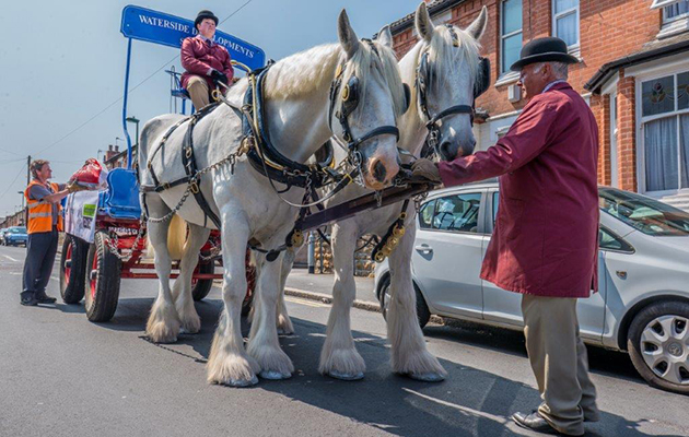 The horses and dray are being used to help clear student accommodation