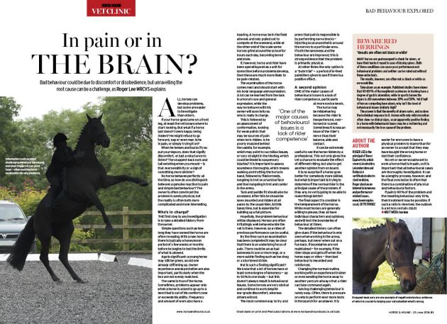 H&H 23 June vet - bad behaviour