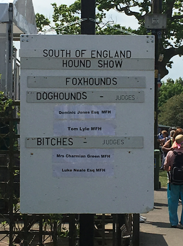 HoundShow2
