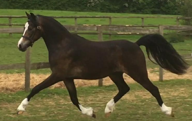 Screen Shot 2016-06-14 at 14.43.37