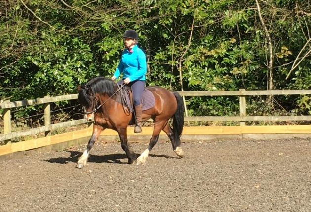 Screen Shot 2016-06-14 at 14.53.08