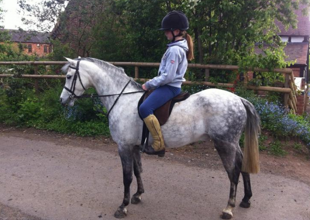 Screen Shot 2016-06-14 at 15.11.00