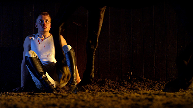 The_Equestrian_Still_04 80percent