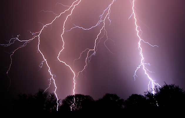 Horses in thunderstorms lightning