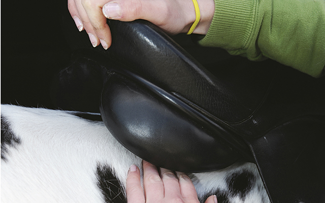 Checking the fit of a saddle